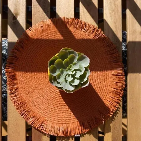 Profithome- Casa Checha Apartment