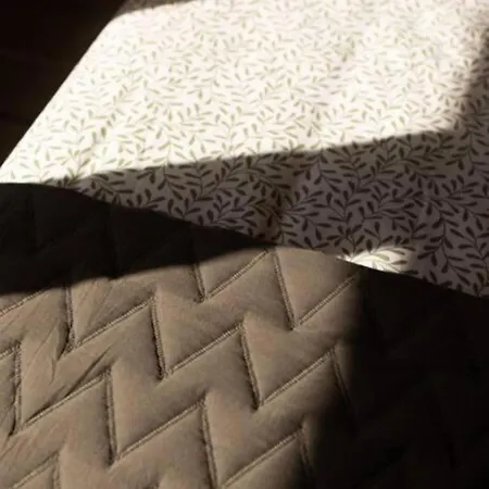 Profithome- Casa Checha Apartament