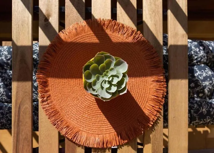 Profithome- Casa Checha Appartement