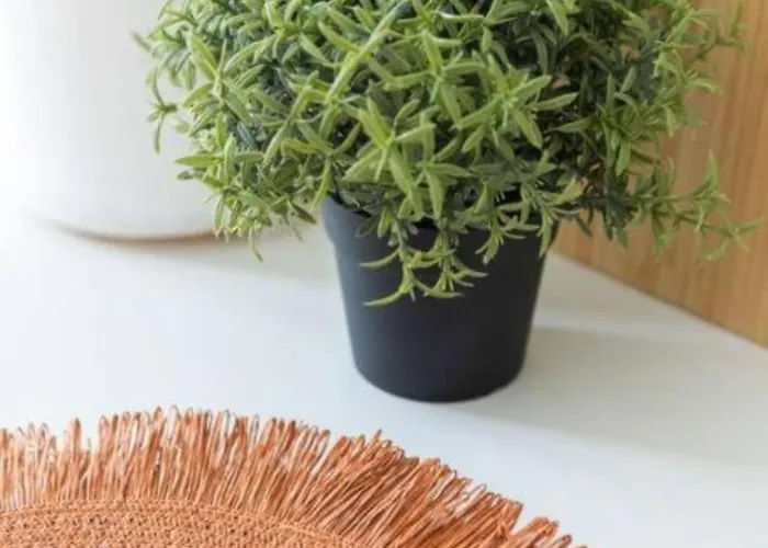 Appartement Profithome- Casa Checha Candelaria